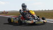 Kart Racing Pro купить
