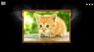 Kitty Cat: Jigsaw Puzzles купить
