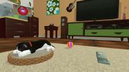 Konrad the Kitten - a virtual but real cat купить