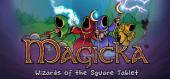 Купить Magicka: Wizards of the Square Tablet