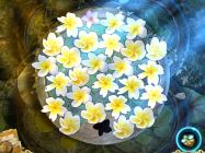 Melissa K. and the Heart of Gold Collector's Edition купить