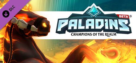 Paladins Founder's Pack