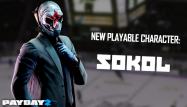 PAYDAY 2: Sokol Character Pack купить