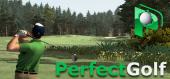 Купить Perfect Golf