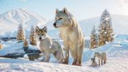 Planet Zoo: Arctic Pack купить
