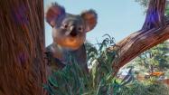 Planet Zoo: Australia Pack купить