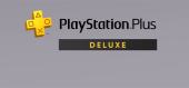 Купить PlayStation Network PSN Deluxe 12 месяцев - Турция
