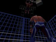 Pro Wrestling X купить