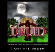 Project Druid - 2D Labyrinth Explorer- купить
