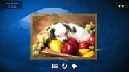 Puppy Dog: Jigsaw Puzzles купить