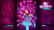 Quantic Pinball купить