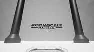 Roomscale Coaster купить