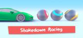 Купить Shakedown Racing