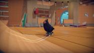 SkateBIRD купить