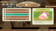 STORY OF SEASONS: Friends of Mineral Town купить