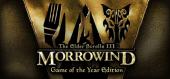 The Elder Scrolls III: Morrowind Game of the Year Edition купить
