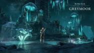 The Elder Scrolls Online: Greymoor - Digital Collector's Edition купить
