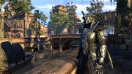 The Elder Scrolls Online: Greymoor - Upgrade купить