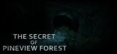 Купить The Secret of Pineview Forest