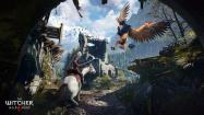 The Witcher 3: Wild Hunt - Game of the Year Edition купить