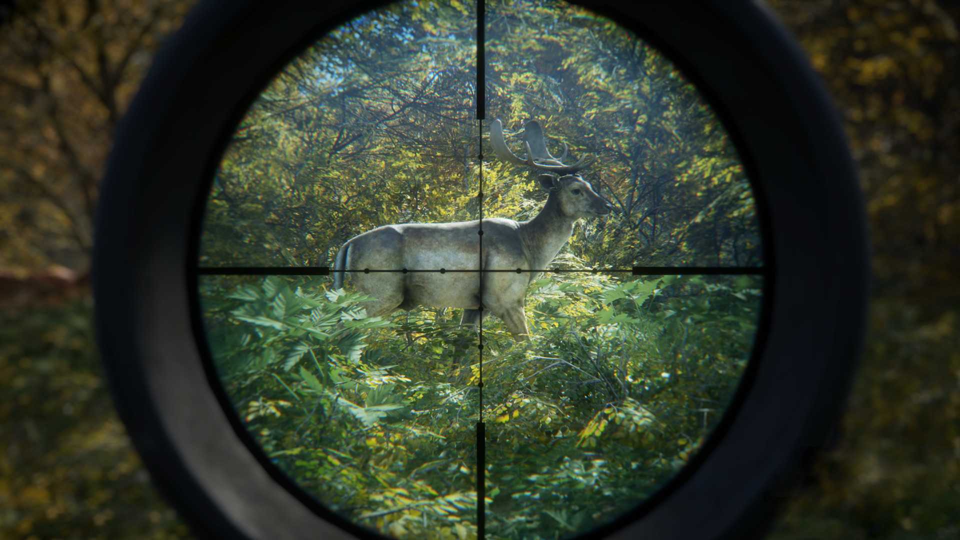 Call of the wild epic games. THEHUNTER: Call of the Wild. Игра охота the Hunter Call of the Wild. The Hunter Call of the Wild ПС 4. THEHUNTER: Call of the Wild v.2175916.