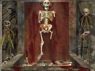 Timelapse купить