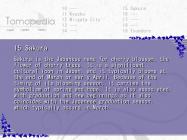 Tomoyo After ~It's a Wonderful Life~ English Edition купить