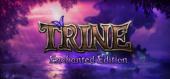 Купить Trine Enchanted Edition общий