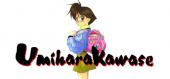 Купить UmiharaKawase