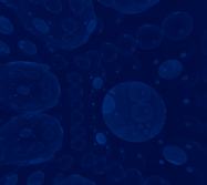 VR Fractals купить