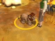 Wildlife Camp купить