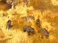 Wildlife Camp купить