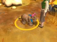 Wildlife Camp купить